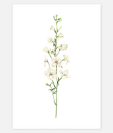 UNE PIECE-FREE GIFT - Sheryl Cole A5 Art Print