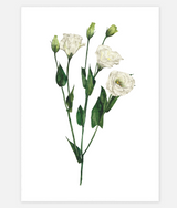 UNE PIECE-FREE GIFT - Sheryl Cole A5 Art Print