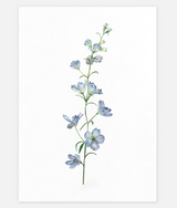 UNE PIECE-FREE GIFT - Sheryl Cole A5 Art Print