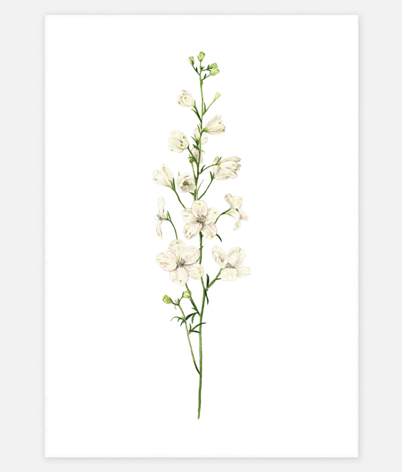 UNE PIECE-FREE GIFT - Sheryl Cole A5 Art Print